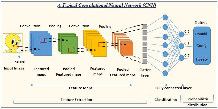 convolutional neural network